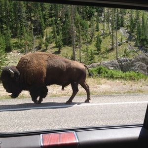 Meet your Posher, Shauna