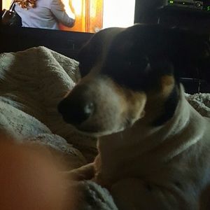 Meet your Posher, Joyce