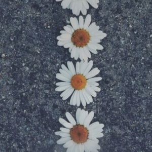 Meet your Posher, Katelyn