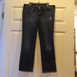 American Eagle Artist style cropped pant