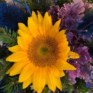 Meet your Posher, Sierra