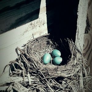 Meet your Posher, Mary