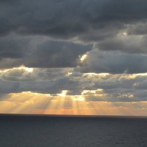 Meet your Posher, Jade