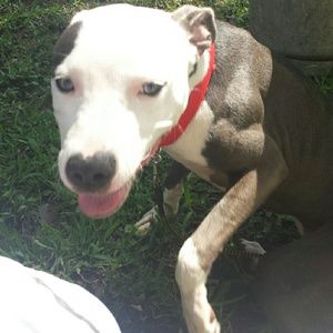 Meet your Posher, Marquellus