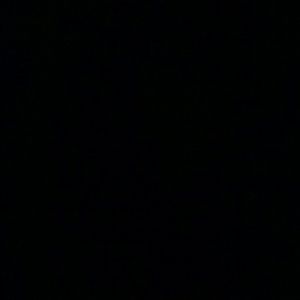 Meet your Posher, Aisha