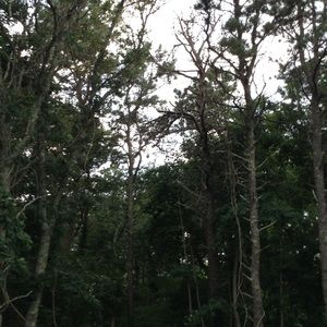 Meet your Posher, Teresa