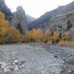 Meet your Posher, Debra