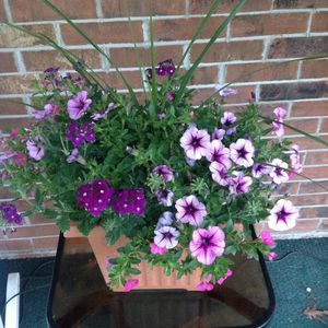 Meet your Posher, Karen