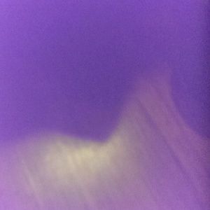 Meet your Posher, Donald