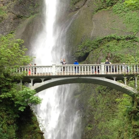 Meet your Posher, Denise - Picture 1 of 1