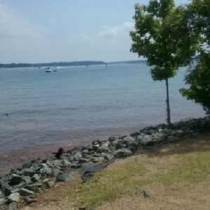 Meet your Posher, Adaly