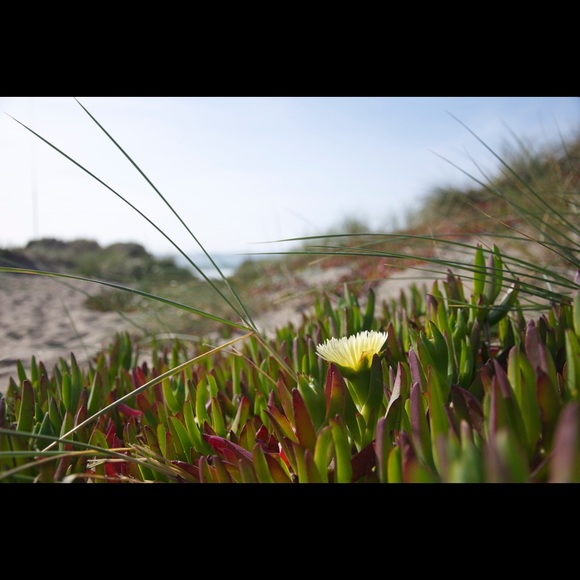 Meet the Posher Other - Meet your Posher, Posher