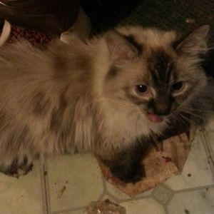 Meet your Posher, Christine