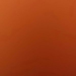 Meet your Posher, Shanette