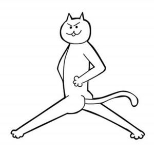 Meet your Posher, Qi