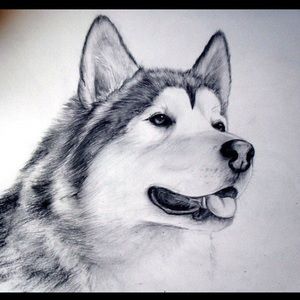 Meet your Posher, Oksana