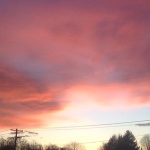 Meet your Posher, Maddie