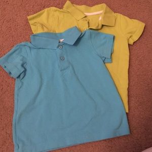 Two 24 month polos