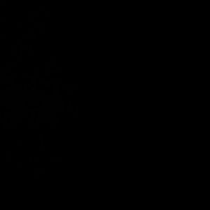 Meet your Posher, Gisselle