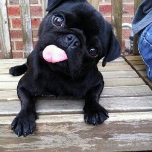 Meet your Posher, Jackie