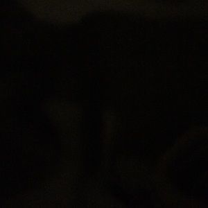 Meet your Posher, Sophie