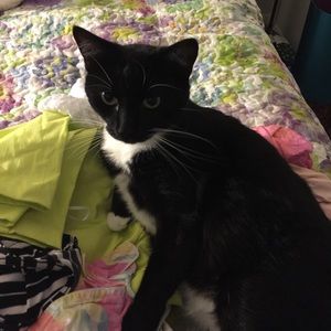 Meet your Posher, Raymiene