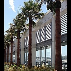 Meet your Posher, Thinh