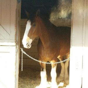 Meet your Posher, Melanie