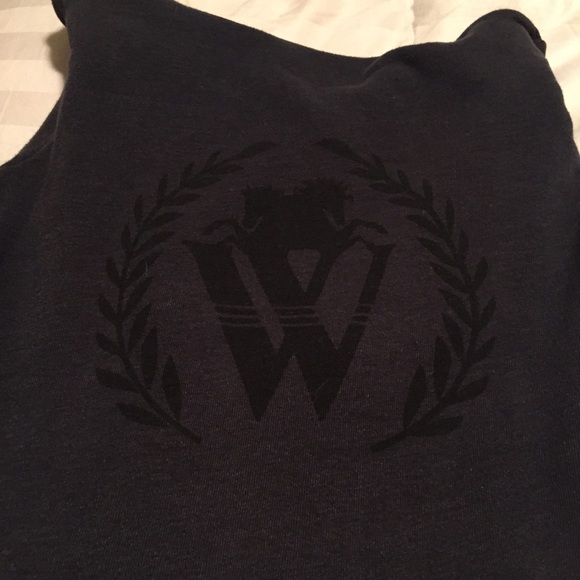 Most comfy Wild Fox heather gray/blue hoodie!