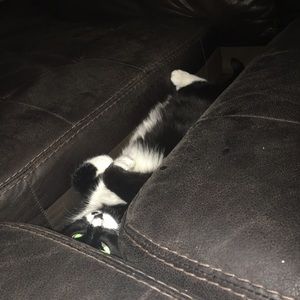 Meet your Posher, Jenny