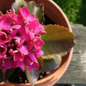 Meet your Posher, Paige