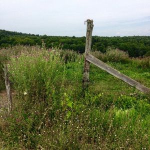 Meet your Posher, Em