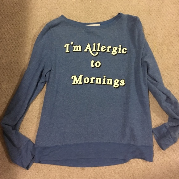 Wildfox sweatshirt