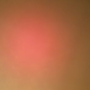 Meet your Posher, Jaylen