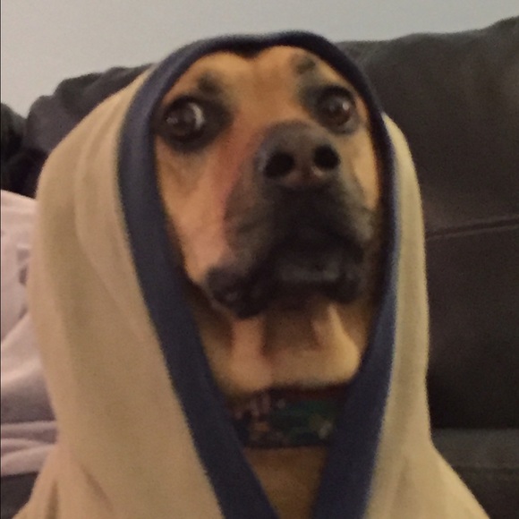 Meet your Posher, Kayla - Picture 3 of 4