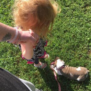 Meet your Posher, Kari