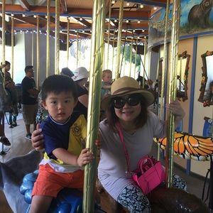 Meet your Posher, Elsa