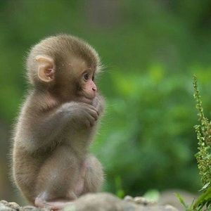 Meet your Posher, Cm