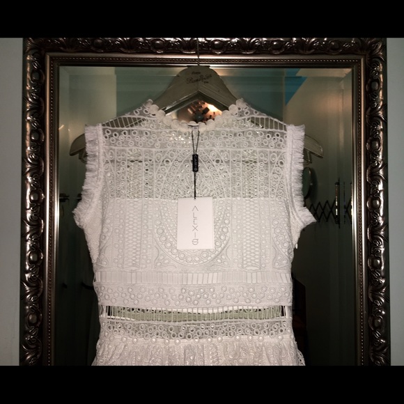 โจ SOLD ๐ ALEXIS Sage Lace Fit & Flare Dress - Picture 3 of 4