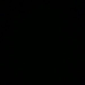 Meet your Posher, Riley