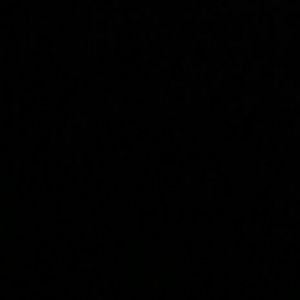 Meet your Posher, Bobbie