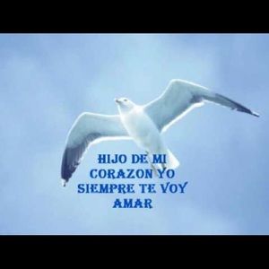 Meet your Posher, Katty