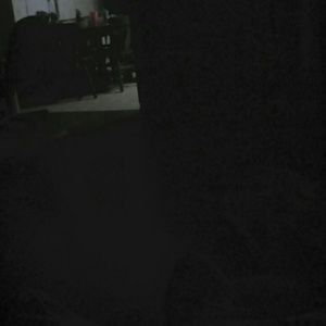 Meet your Posher, Tamra