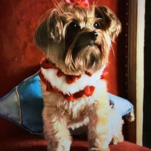 Meet your Posher, Pat