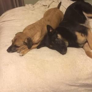 Meet your Posher, Danette