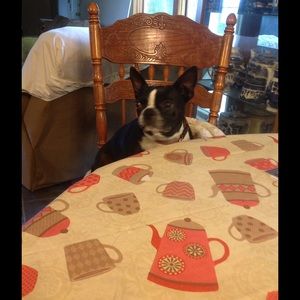 Meet your Posher, Evelyn