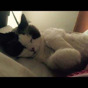 Meet your Posher, Marie