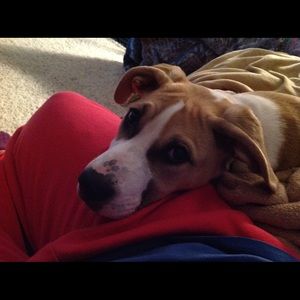 Meet your Posher, Trina