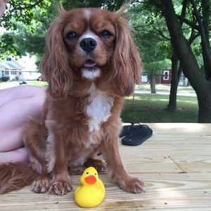 Meet your Posher, Maria