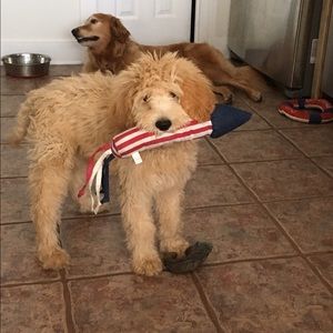 Meet your Posher, Meredith